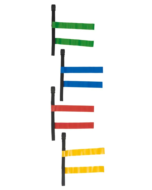 Tag belt