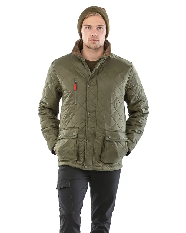 Veste Cheltenham Gold