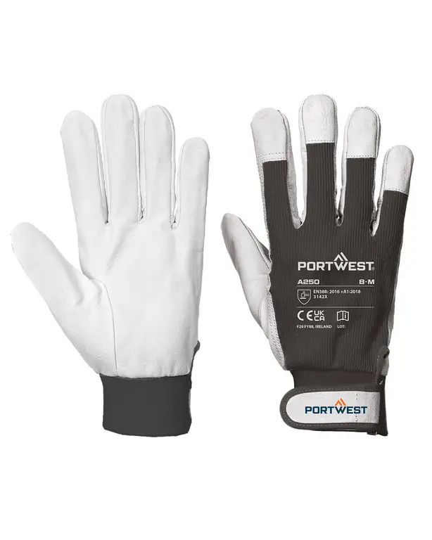 Tergsus Glove