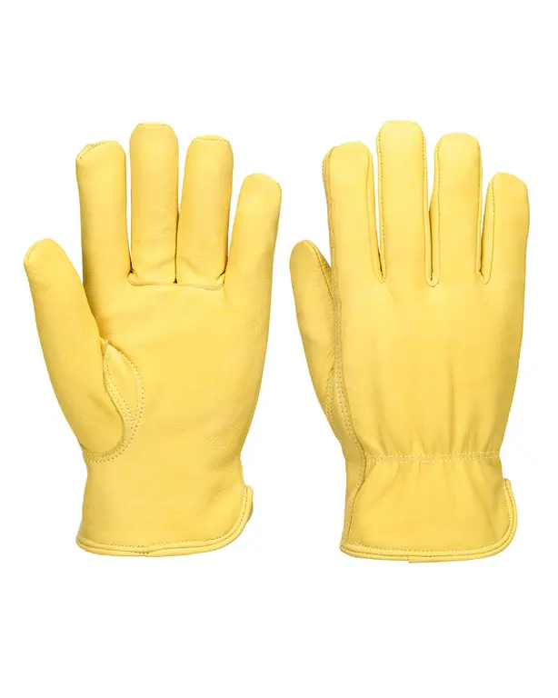Padded Leather Driver Glove