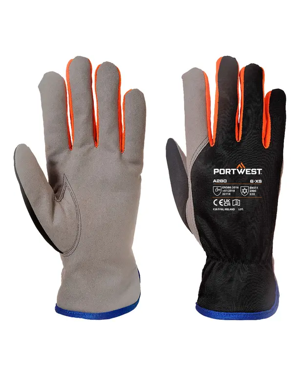 Wintershield Handschuh