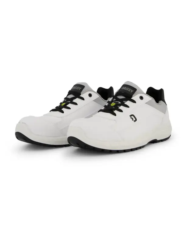 DASSY® Horus S3S FO SR ESD