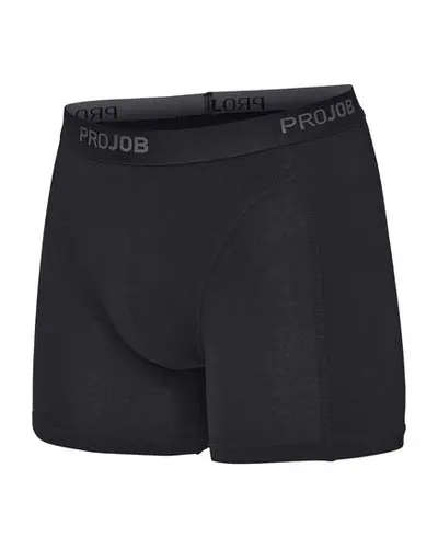 3531 BOXER SHORTS, 2 PACKS