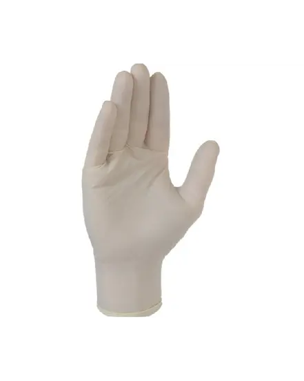 100 GANTS LATEX NON POUDRE SXL