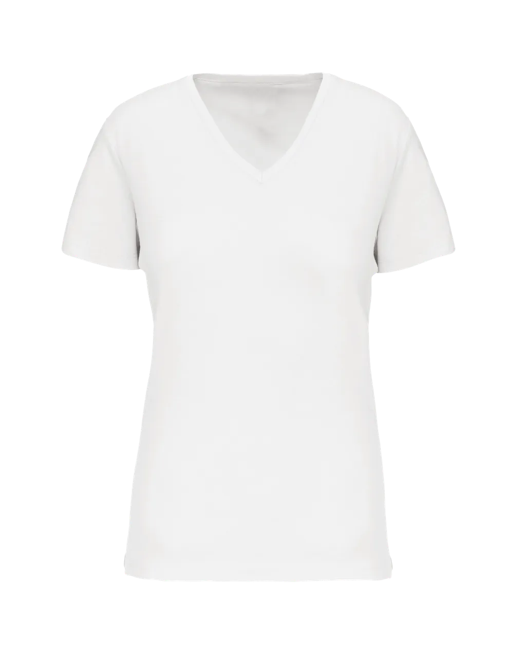 BIO150 IC V-Neck T-Shirt