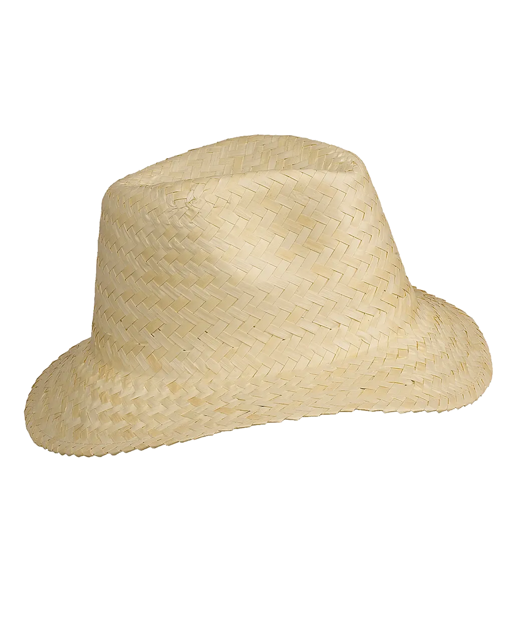 Chapeau Panama