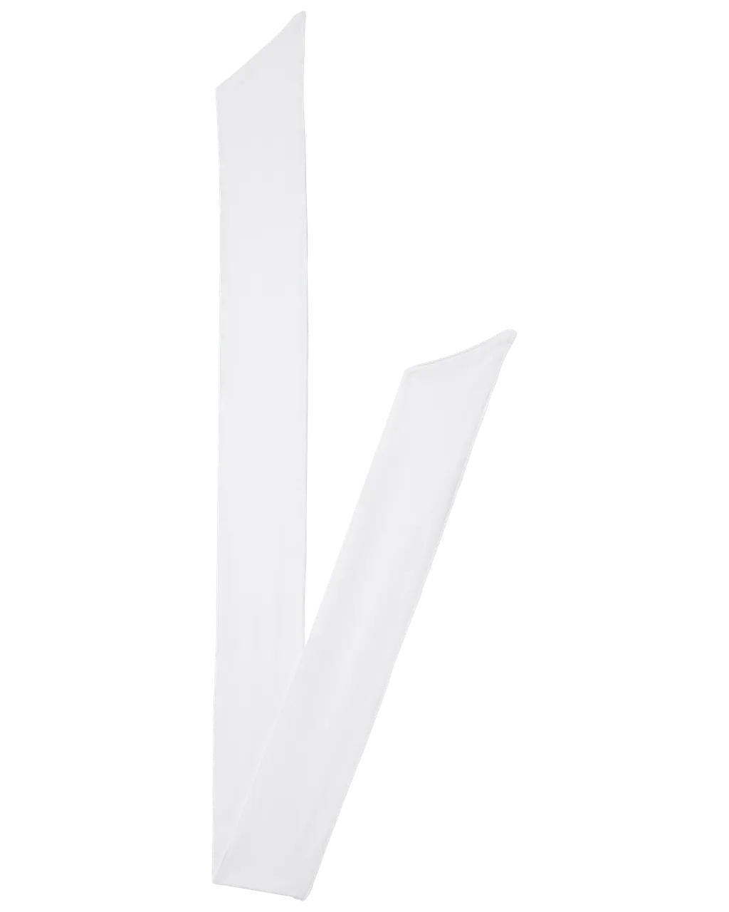 Sportband