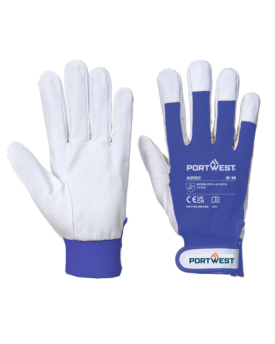Tergsus Handschuh