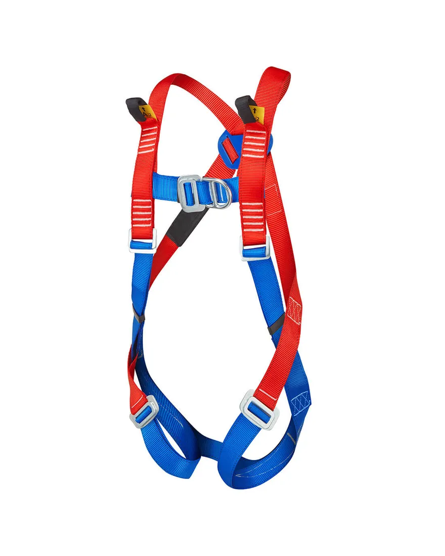 2 Point Harness