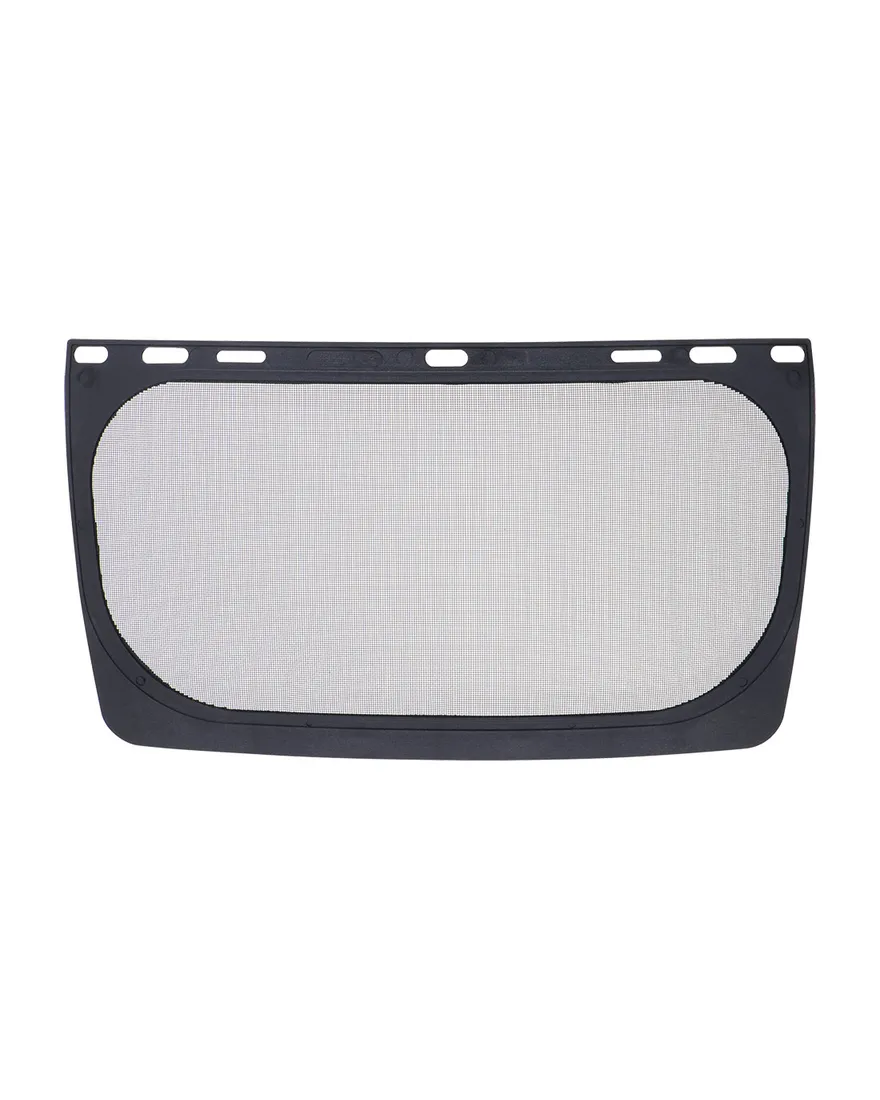 Mesh Visor