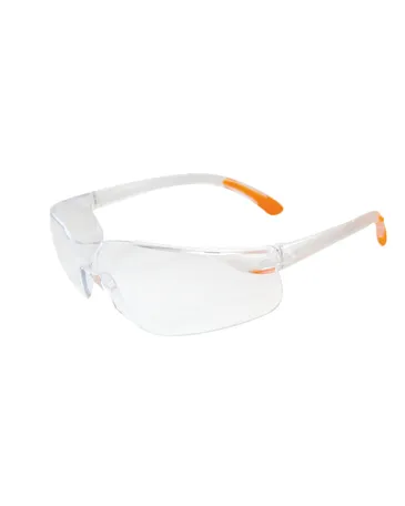 Veiligheidsbril Clear AS + AF