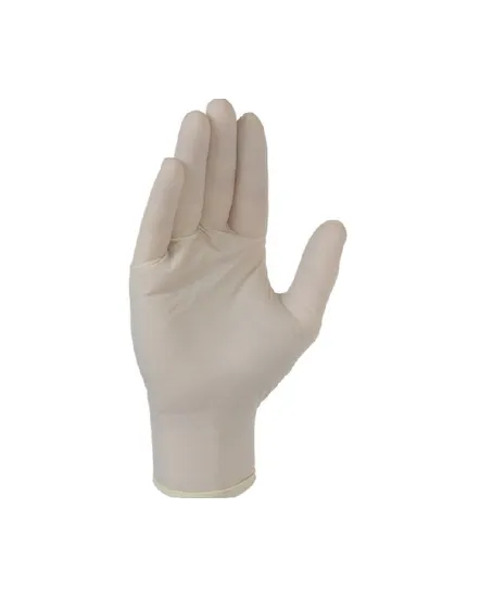 100 GANTS LATEX NON POUDRE SXL