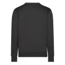 DASSY® FIBRE - Bild 6
