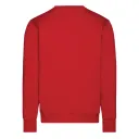 DASSY® FIBRE - Bild 18