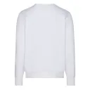 DASSY® FIBRE - Bild 9