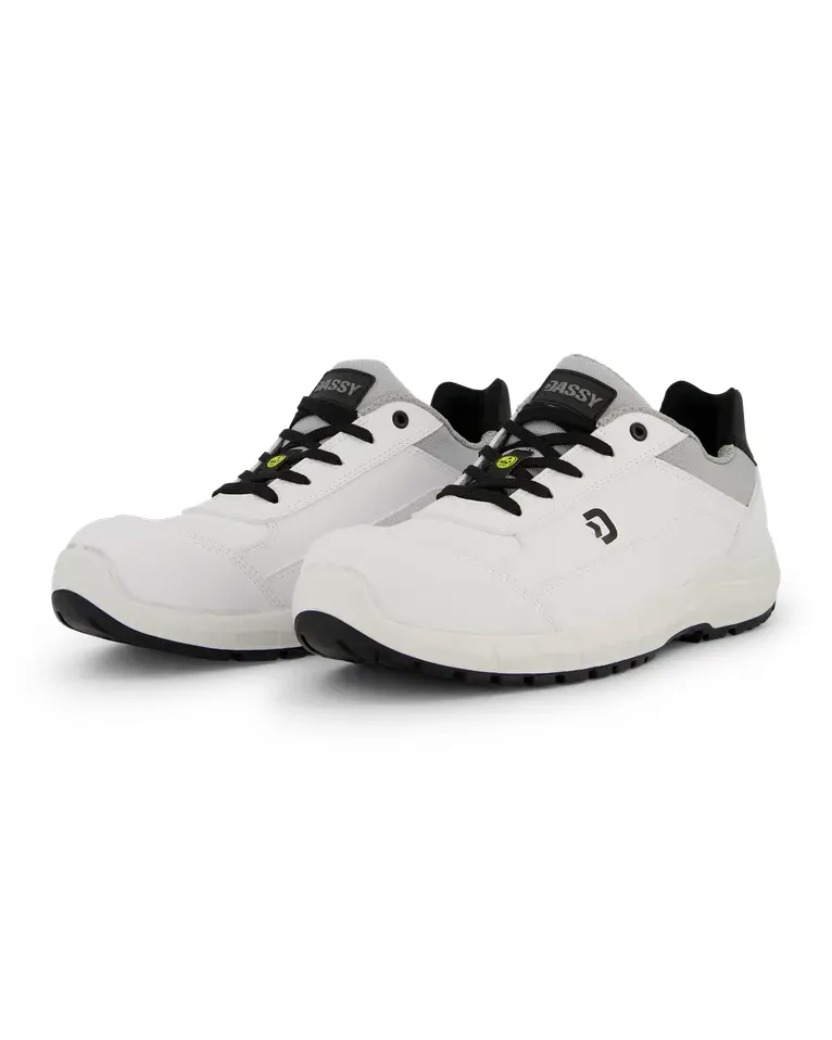 DASSY® Horus S3S FO SR ESD