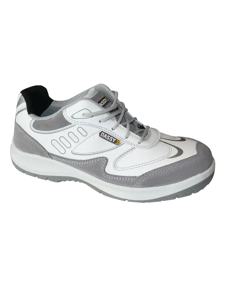DASSY® Neptunus S3