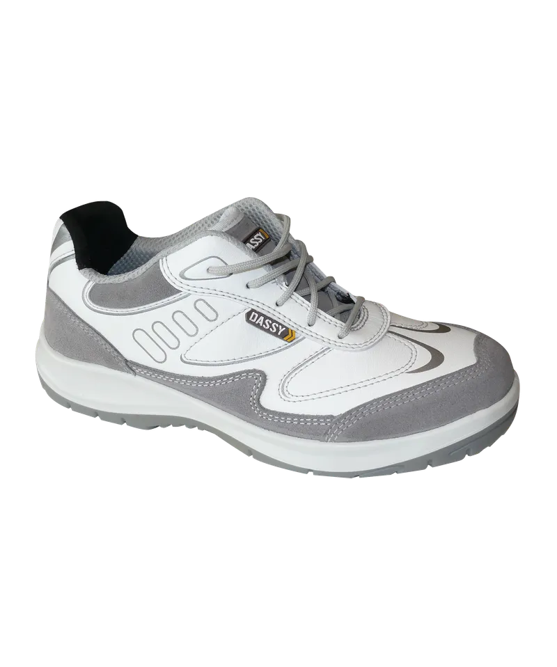DASSY® Neptunus S3