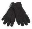 Image de Gants recyclés micropolaire et Thinsulate™
